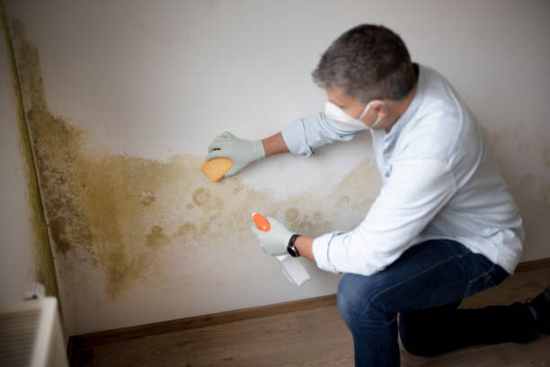 Best HVAC Mold Inspection and Cleaning  in Adair Village, OR