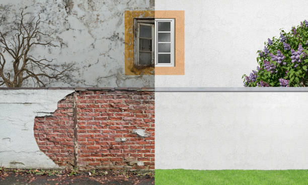 Best Mold Damage Restoration  in Adair Village, OR